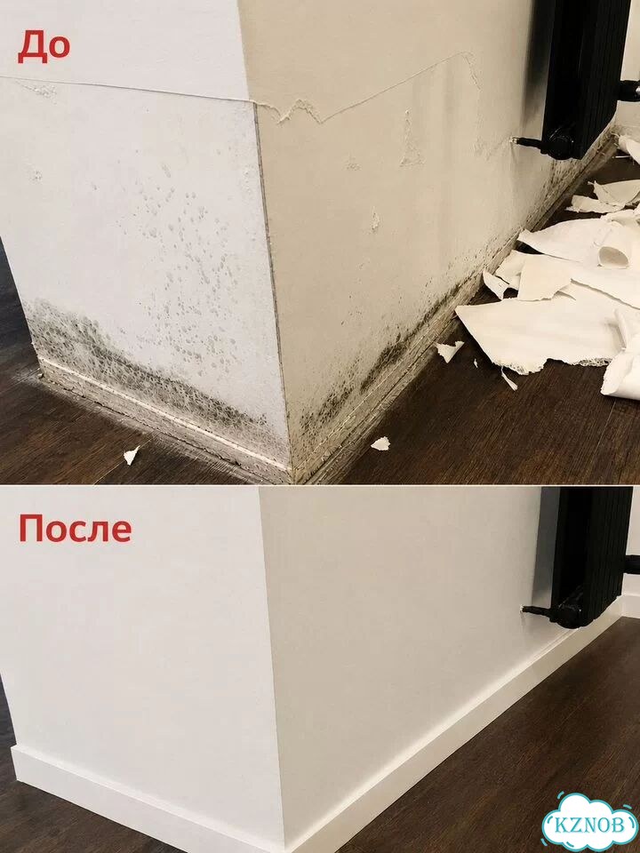 Уничтожение Плесени Обработка От Грибка Гарантия фото 5