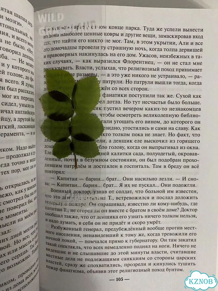 Книжные закладки растения фото 3