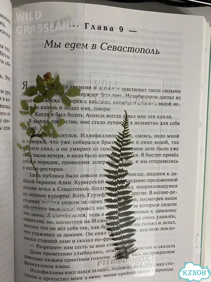 Книжные закладки растения фото 4