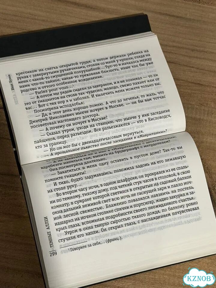 Иван Бунин флипбук flipbook фото 3