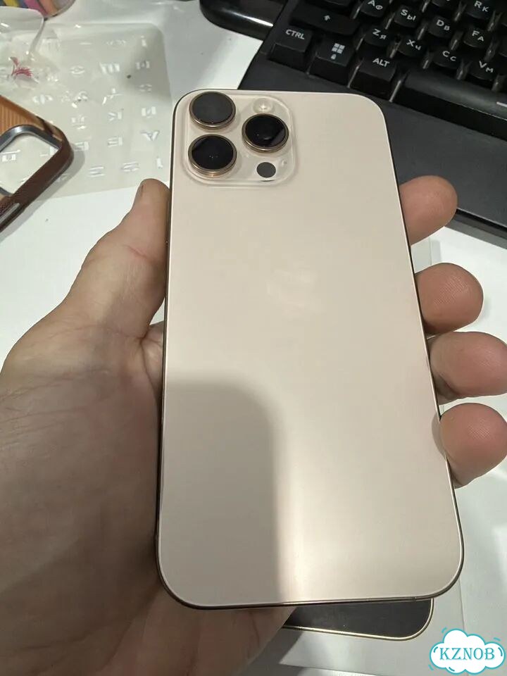 iPhone 16 Pro Max, 256 ГБ, SIM + eSIM фото 1
