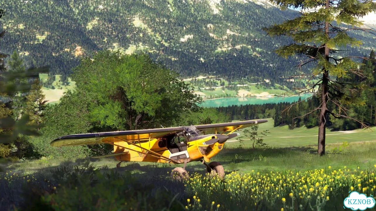 Microsoft Flight Simulator 2024 для PS5 фото 5