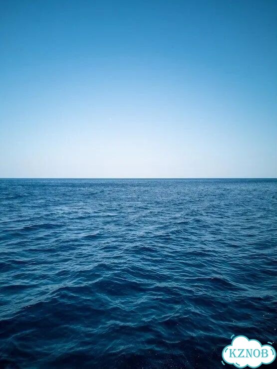 Едем на море фото 1