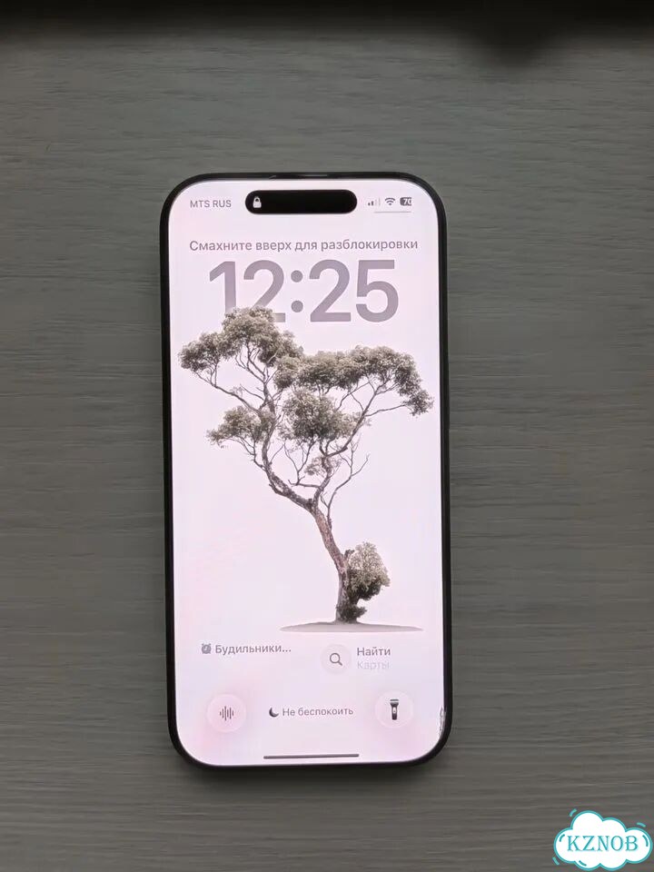 iPhone 16 Pro, 256 ГБ, SIM + eSIM фото 1