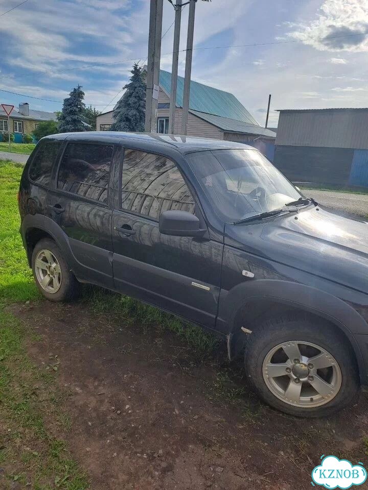 Chevrolet Niva 1.7 MT, 2013, 93 226 км фото 2