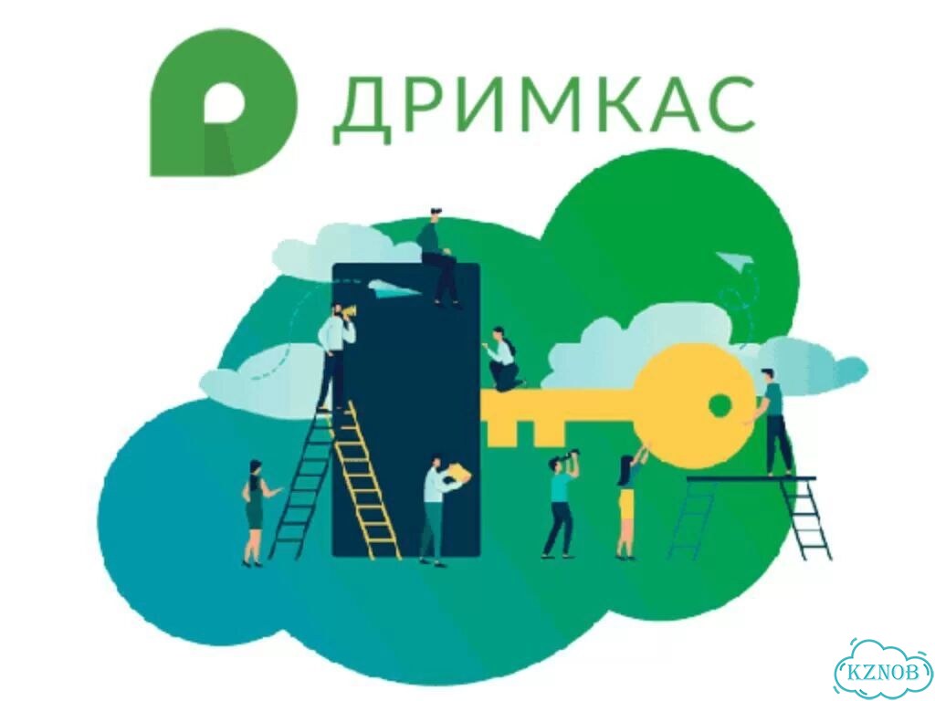 Дримкас Ключ базовый на 1 год фото 4