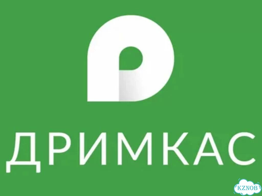 Дримкас Ключ базовый на 1 год фото 5