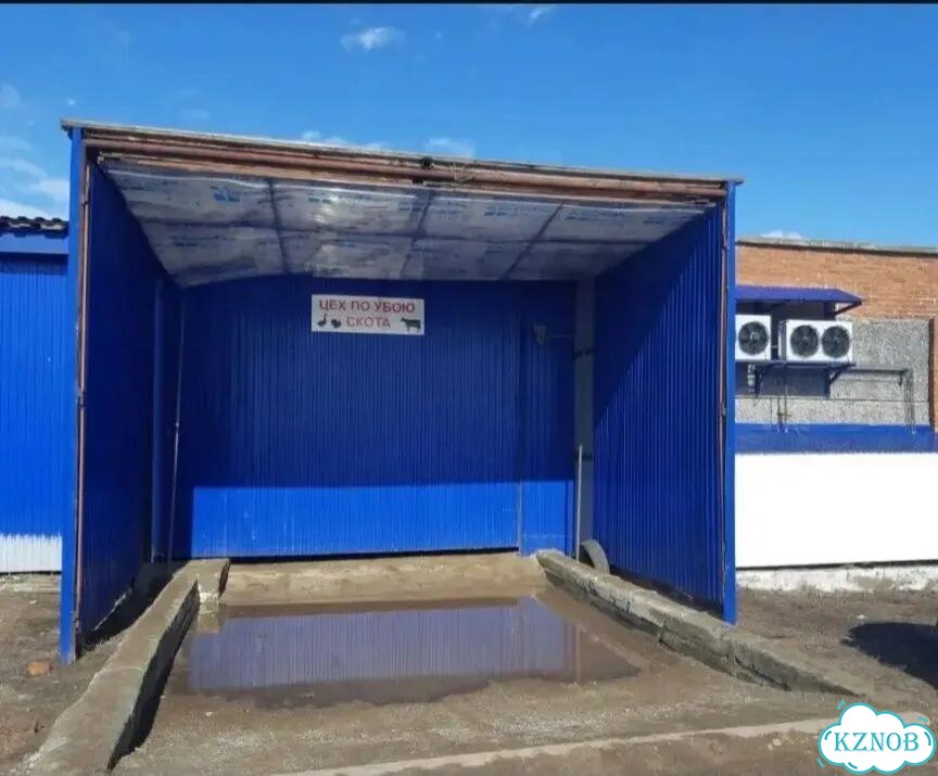 Убойный цех фото 1