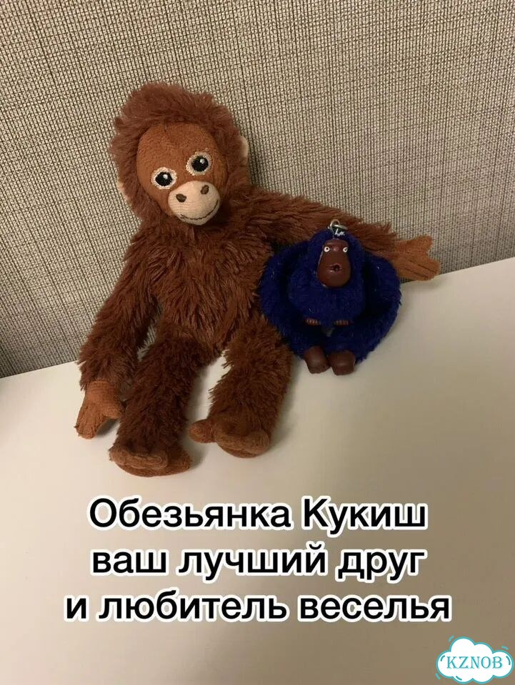 Легендарная обезьяна из IKEA ищет тусу фото 1