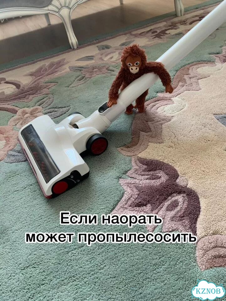 Легендарная обезьяна из IKEA ищет тусу фото 10