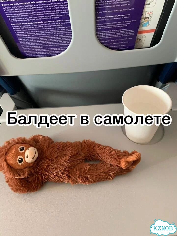 Легендарная обезьяна из IKEA ищет тусу фото 5