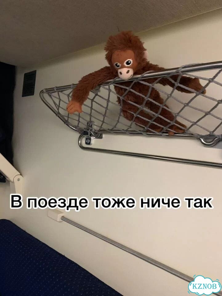 Легендарная обезьяна из IKEA ищет тусу фото 6