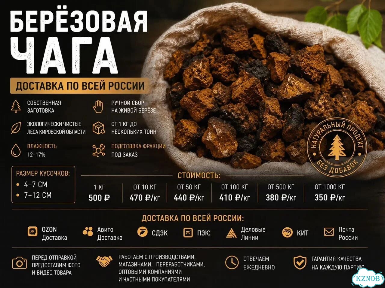 Чага березовая - Склад в наличии фото 6