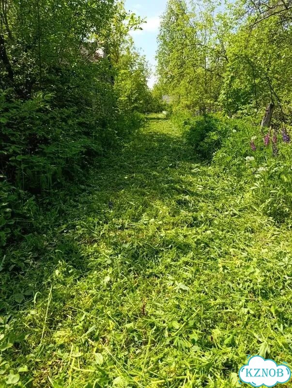 Покос травы/бурьяна фото 5