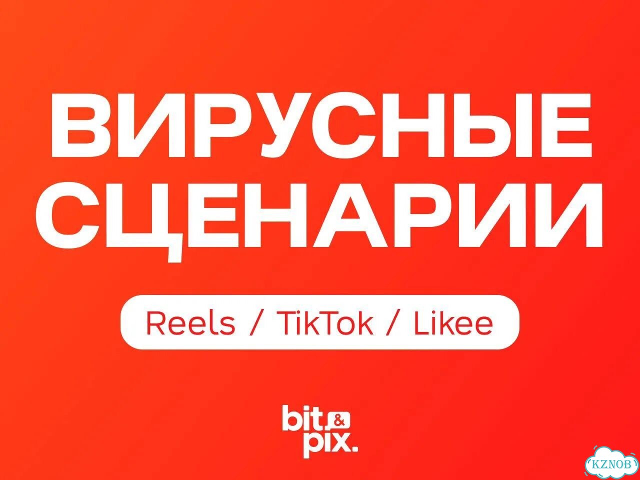 Напишем сценарий Reels/TikTok — или вернём деньги фото 1