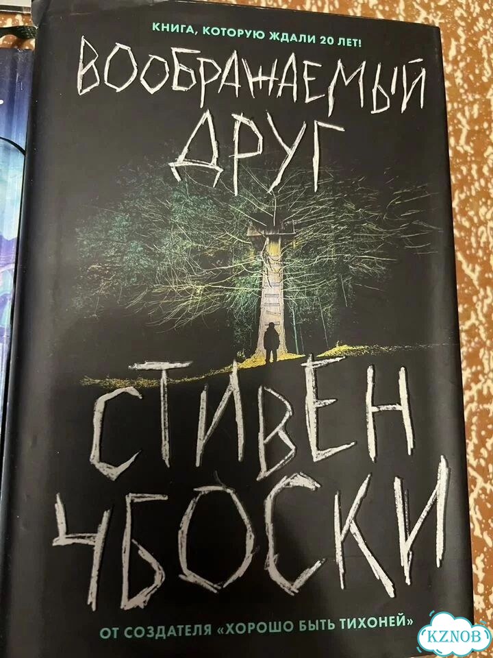 Стивен Чбокси Воображаемый друг фото 1
