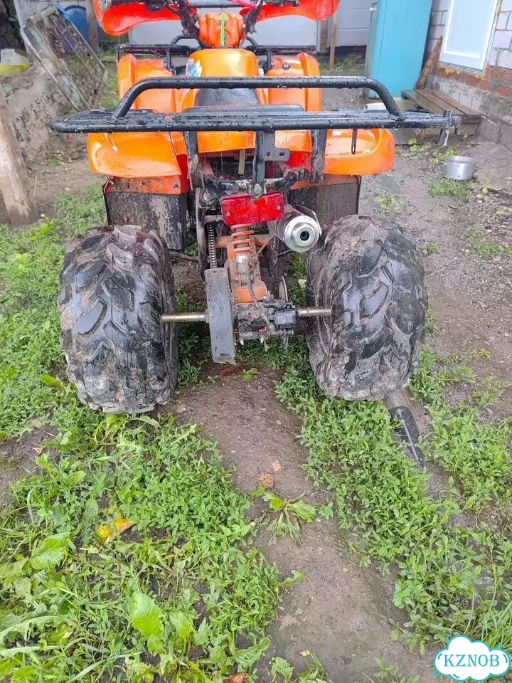 ATV Termit Libre, 2021, 200 км фото 1