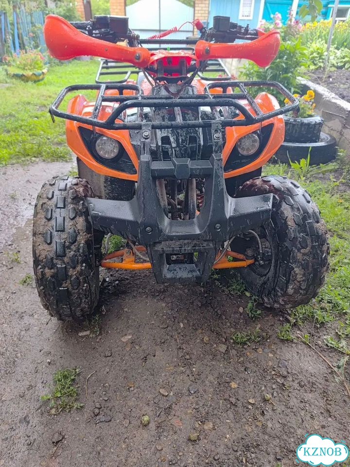 ATV Termit Libre, 2021, 200 км фото 2