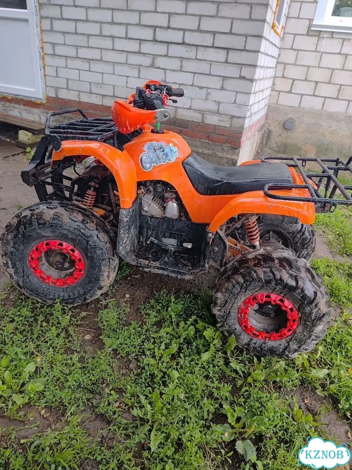 ATV Termit Libre, 2021, 200 км фото 3