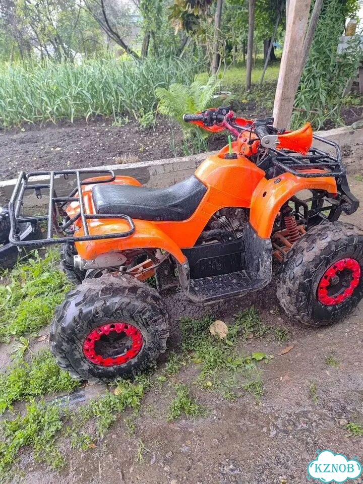 ATV Termit Libre, 2021, 200 км фото 5
