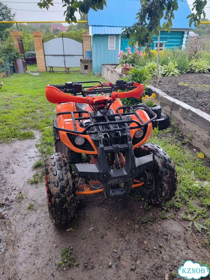 ATV Termit Libre, 2021, 200 км фото 6