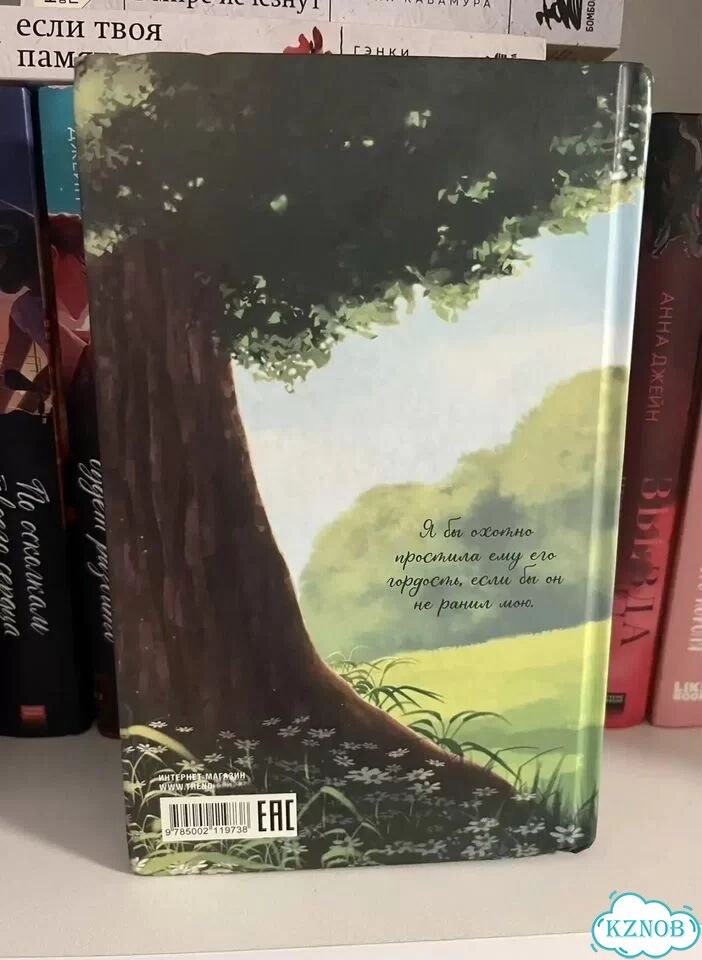 Книга «гордость и предубеждение» фото 2