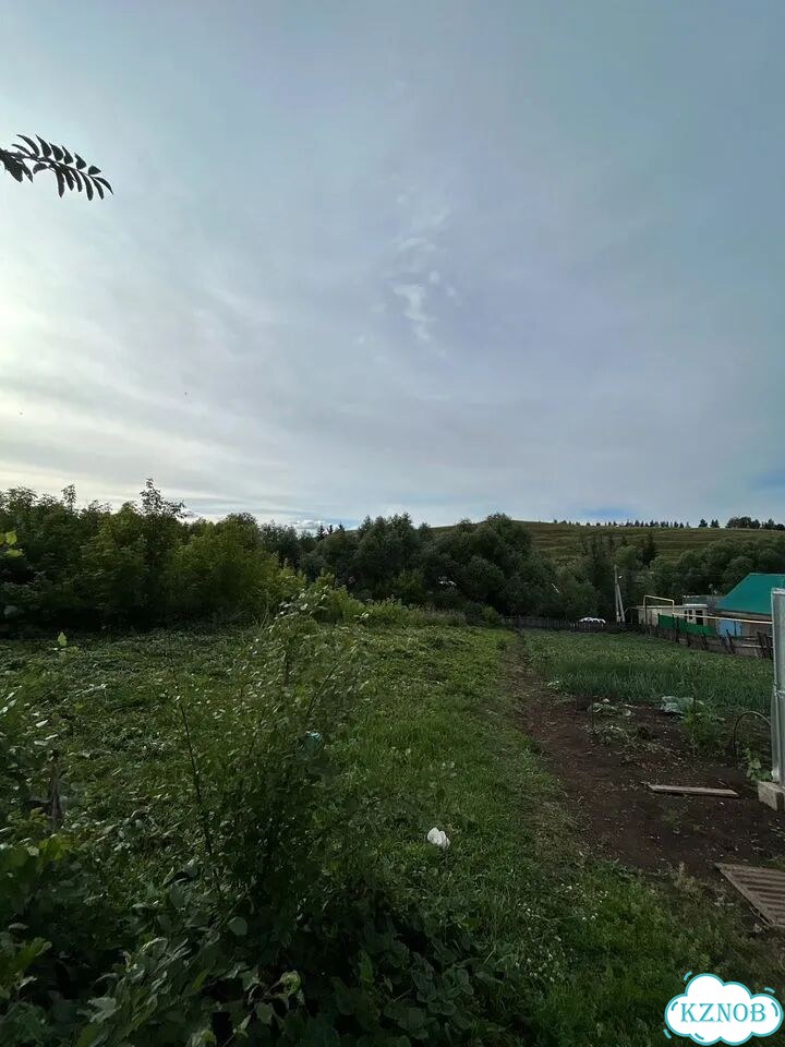 Участок 16 сот. (ИЖС) фото 5