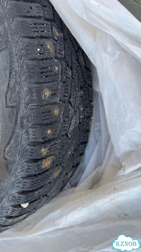 Cordiant Snow Cross 205/55 R16 фото 2