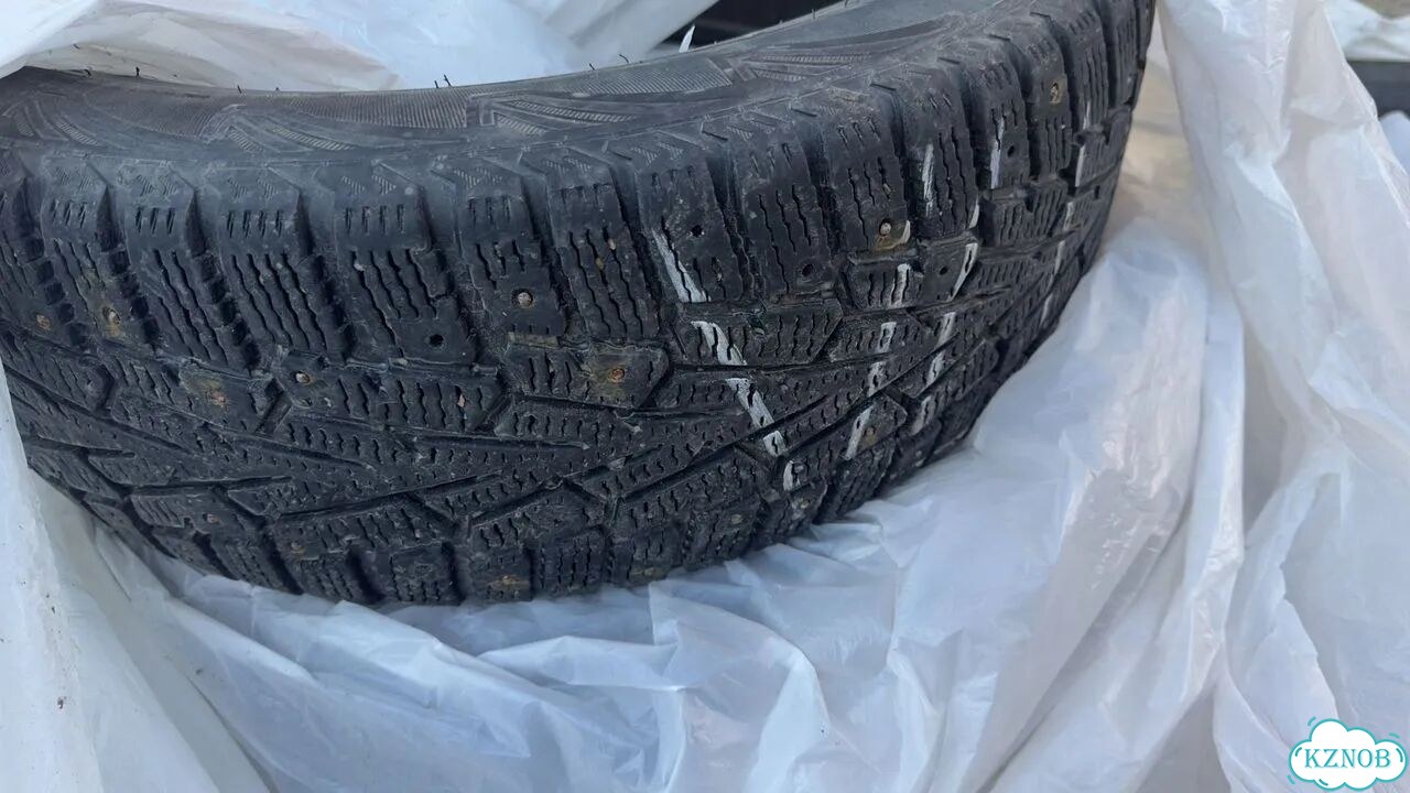 Cordiant Snow Cross 205/55 R16 фото 3