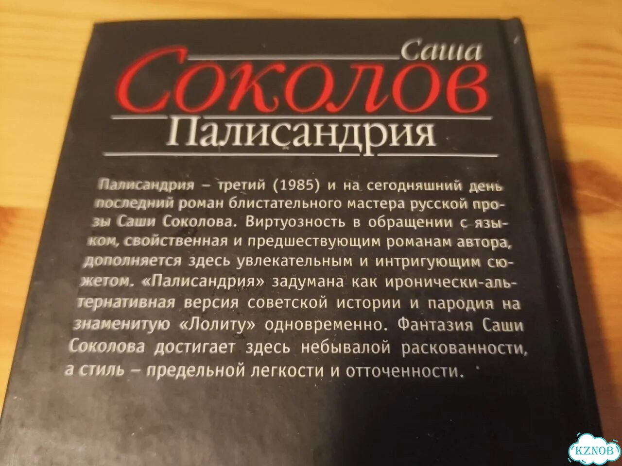 Саша Соколов Палисандрия фото 4