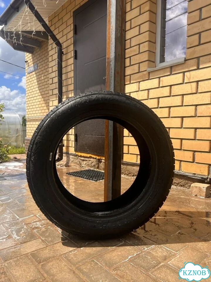 Triangle Snowlink TWT02 255/50 R19 107W фото 1