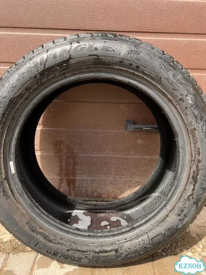 Triangle Snowlink TWT02 255/50 R19 107W фото 4