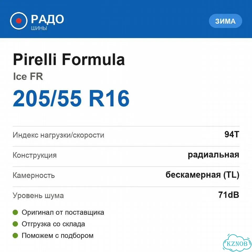 Formula Ice FR 205/55 R16 94T фото 2