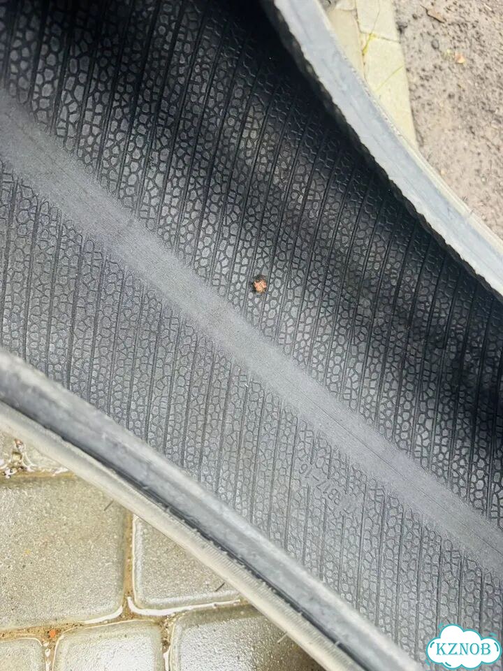 ZMAX LY688 225/65 R17 фото 4