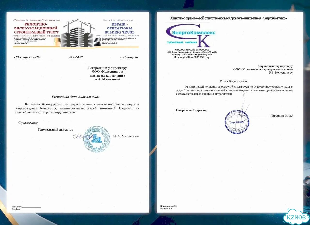 Банкротство физических лиц — выход из долгов фото 9