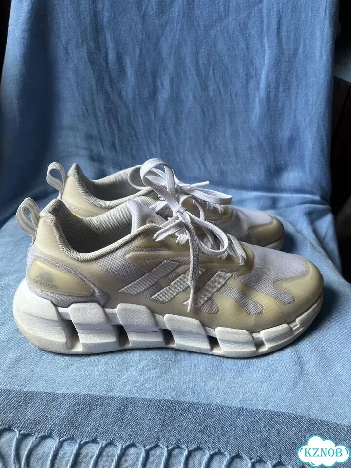 Кроссовки мужские Adidas Ventice Climacool фото 1