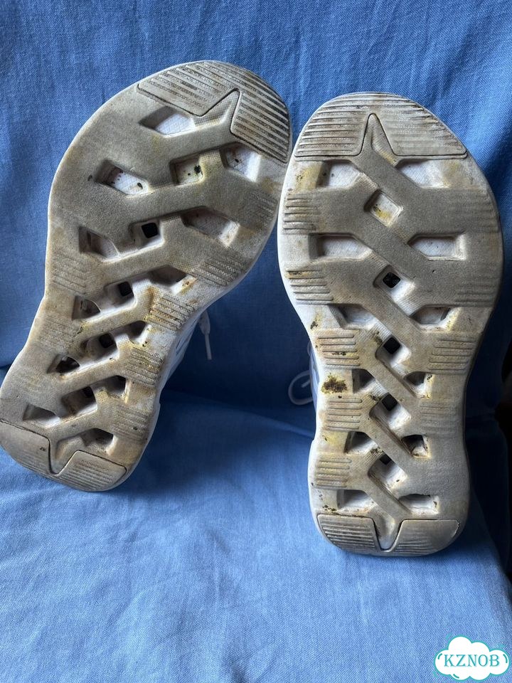 Кроссовки мужские Adidas Ventice Climacool фото 10