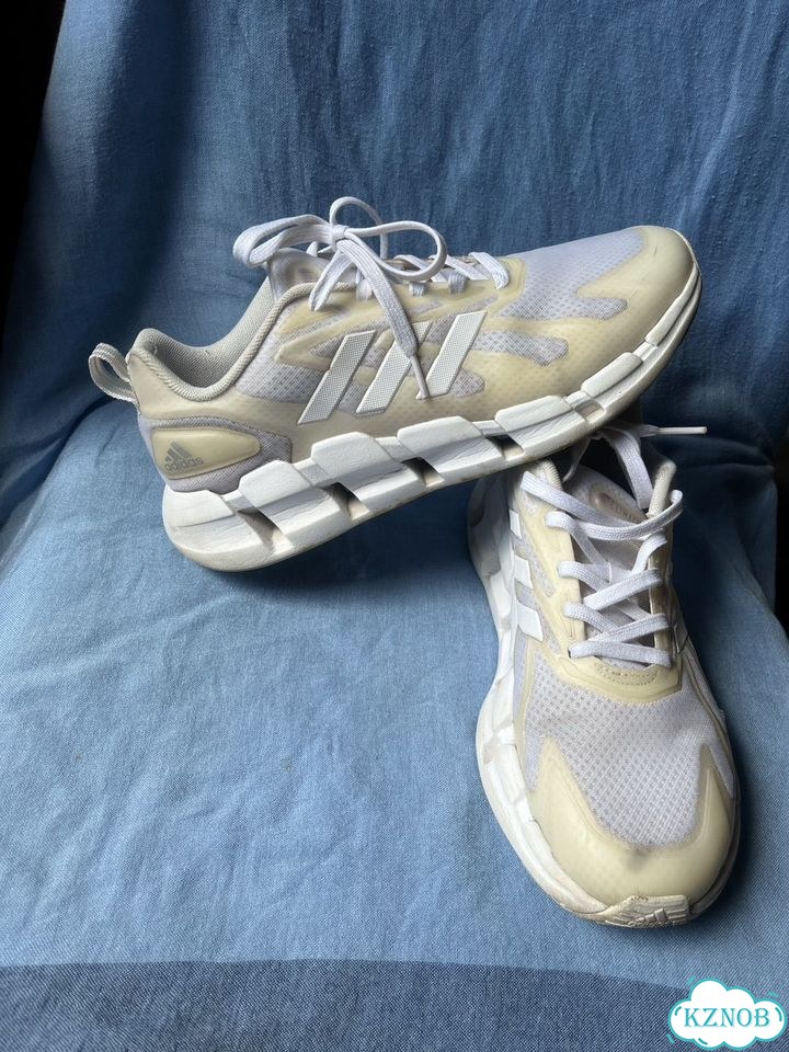 Кроссовки мужские Adidas Ventice Climacool фото 3